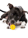 planet-dog-jouet-pour-chien-resistant-eco-friendly-durable-naturel-nook-smiley