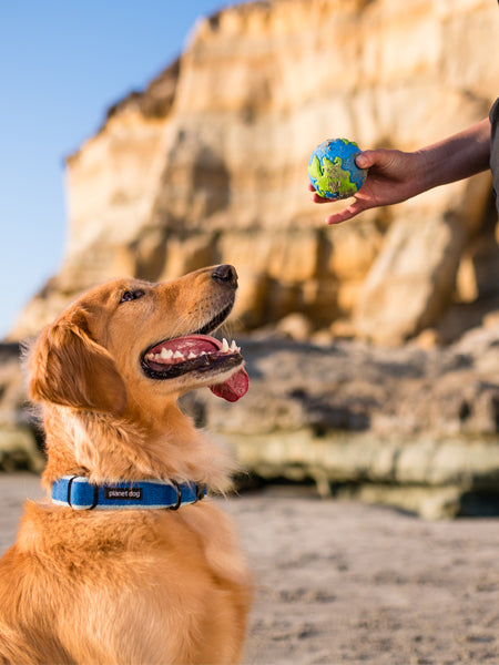 planet-dog-jouet-resistant-eco-friendly-durable-naturel-planete