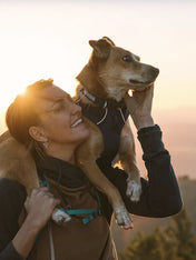    ruffwear-collier-front-range-pour-chien-gris-Twilight