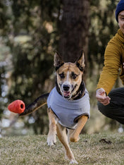     ruffwear-jouet-resistant-eco-friendly-durable-naturelgnawt-a-cone-rouge-2023