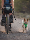 laisse promenade Ruffwear Roamer pour chien