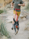 laisse Ruffwear Roamer trail pour chien