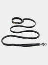 Ruffwear Roamer leash for dog