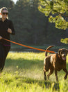 Ruffwear Roamer leash for dog