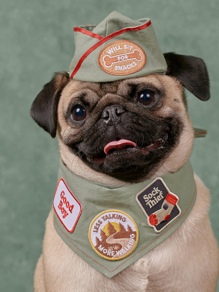      scout_s-honour-patch-thermocollant-pour-chien-good-boy