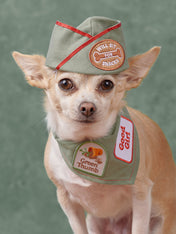     scout_s-honour-patch-thermocollant-pour-chien-good-girl