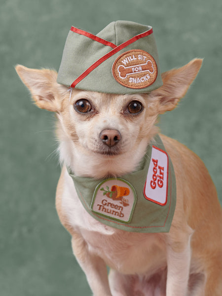    scout_s-honour-patch-thermocollant-pour-chien-good-girl