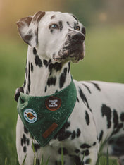        scout_s-honour-patch-thermocollant-pour-chien-nature-enthusiast