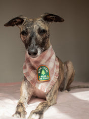        scout_s-honour-patch-thermocollant-pour-chien-pee-on-that