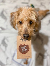     scout_s-honour-patch-thermocollant-pour-chien-tricks-for-treats