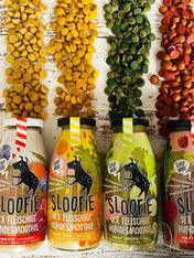       sloofie-smoothie-pour-chien-wild-meat-gibier