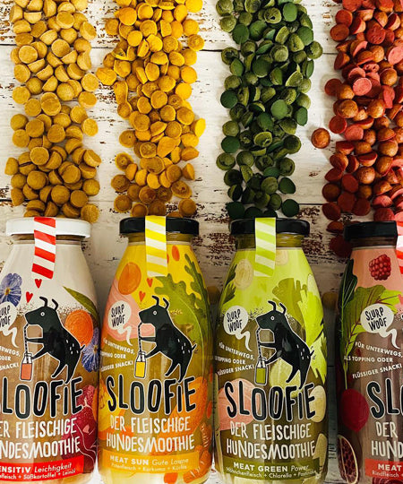       sloofie-smoothie-pour-chien-wild-meat-gibier