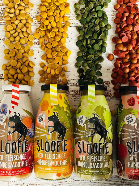       sloofie-smoothie-pour-chien-wild-meat-gibier
