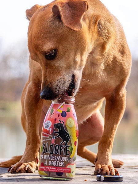     sloofie-smoothie-pour-chien-fruits-rouges-veggie