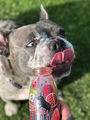     sloofie-smoothie-pour-chien-fruits-rouges-veggie