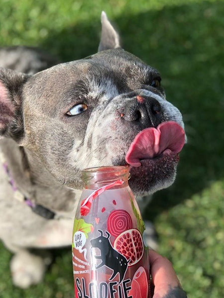     sloofie-smoothie-pour-chien-fruits-rouges-veggie