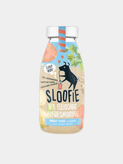     sloofie-smoothie-pour-chien-green-meat-fish-saumon