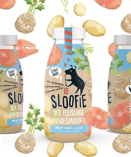     sloofie-smoothie-pour-chien-green-meat-fish-saumon
