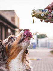    sloofie-smoothie-pour-chien-green-meat-veggie