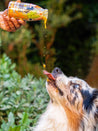       sloofie-smoothie-pour-chien-soupe-carotte