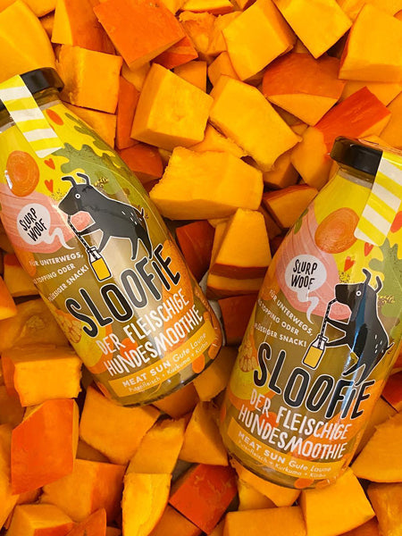        sloofie-smoothie-pour-chien-sun-meat-volaille