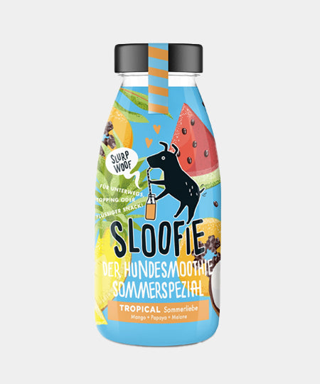       sloofie-smoothie-pour-chien-tropical