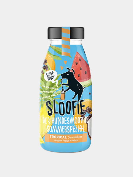       sloofie-smoothie-pour-chien-tropical