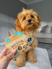     soopa-friandise-naturelles-chien-dog-treat-chiot-banane-citrouille