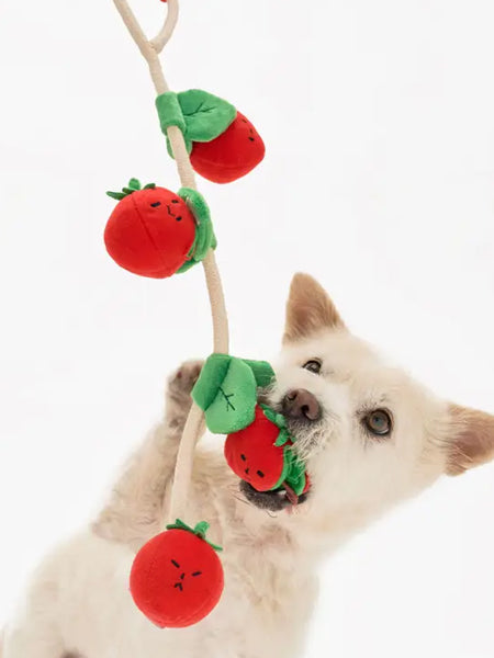       the-furry-folks-jouet-de-fouille-puzzle-interactif-pour-chien-CherryTomato-nose-work-tug