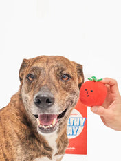       the-furry-folks-jouet-de-fouille-puzzle-interactif-pour-chien-CherryTomato-nose-work-tug