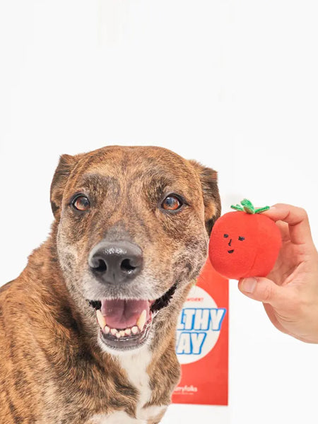       the-furry-folks-jouet-de-fouille-puzzle-interactif-pour-chien-CherryTomato-nose-work-tug