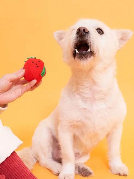       the-furry-folks-jouet-de-fouille-puzzle-interactif-pour-chien-CherryTomato-nose-work-tug