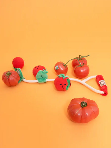       the-furry-folks-jouet-de-fouille-puzzle-interactif-pour-chien-CherryTomato-nose-work-tug