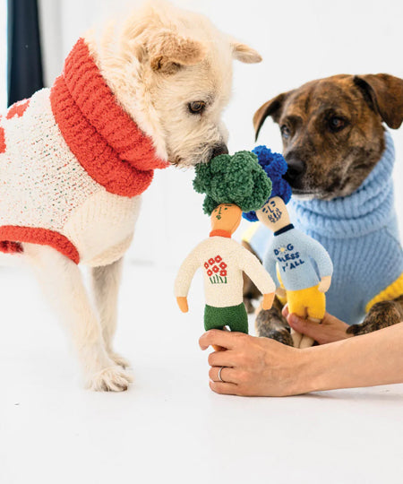       the-furry-folks-jouet-de-fouille-puzzle-interactif-pour-chien-Hooman-vert