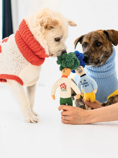       the-furry-folks-jouet-de-fouille-puzzle-interactif-pour-chien-Hooman-vert