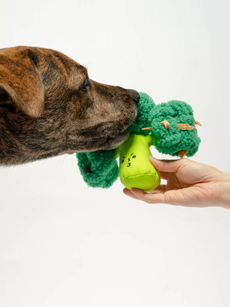     the-furry-folks-jouet-de-fouille-puzzle-interactif-pour-chien-brocoli