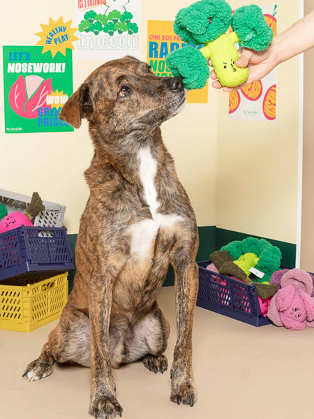     the-furry-folks-jouet-de-fouille-puzzle-interactif-pour-chien-brocoli