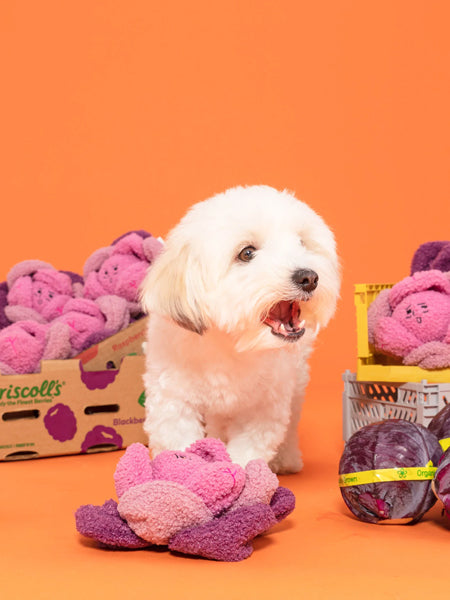     the-furry-folks-jouet-de-fouille-puzzle-interactif-pour-chien-chou