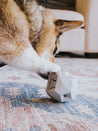       up-dog-jouet-interactif-distributeur-friandises-pour-chein-the-odin-gris
