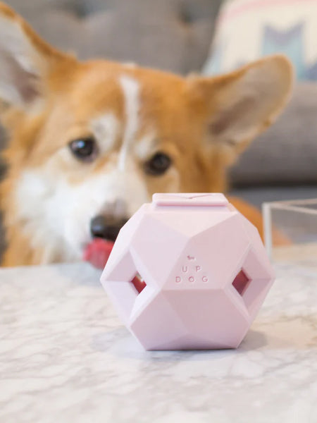     up-dog-jouet-interactif-distributeur-friandises-pour-chein-the-odin-rose