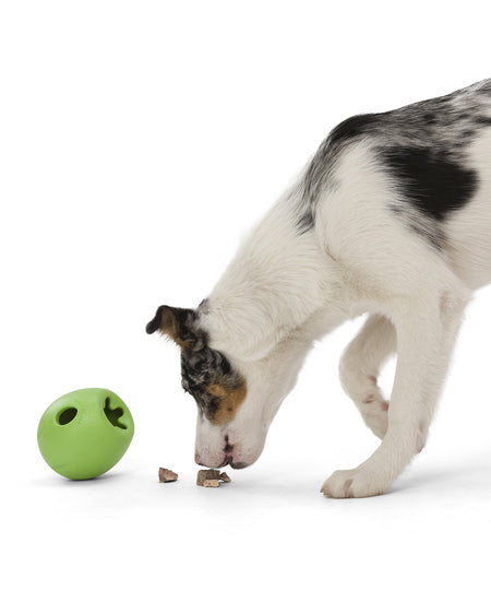 west-paw-Rumbl-jouet-ecologique-naturel-pour-chien-resistant