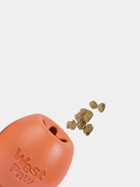 west-paw-Rumbl-jouet-ecologique-naturel-pour-chien-resistant-orange