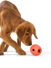 west-paw-Rumbl-jouet-ecologique-naturel-pour-chien-resistant-orange