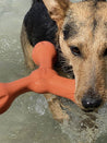     west-paw-SKAMP-jouet-a-lancer-ecologique-naturel-pour-chien-orange