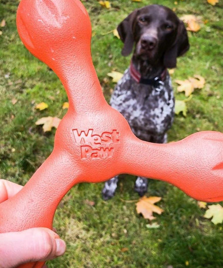     west-paw-SKAMP-jouet-a-lancer-ecologique-naturel-pour-chien-orange