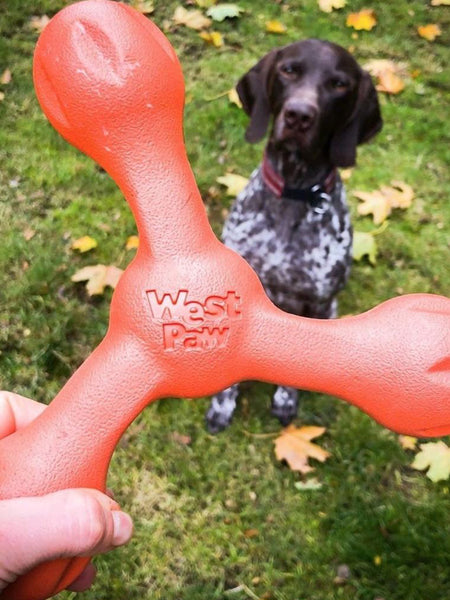     west-paw-SKAMP-jouet-a-lancer-ecologique-naturel-pour-chien-orange