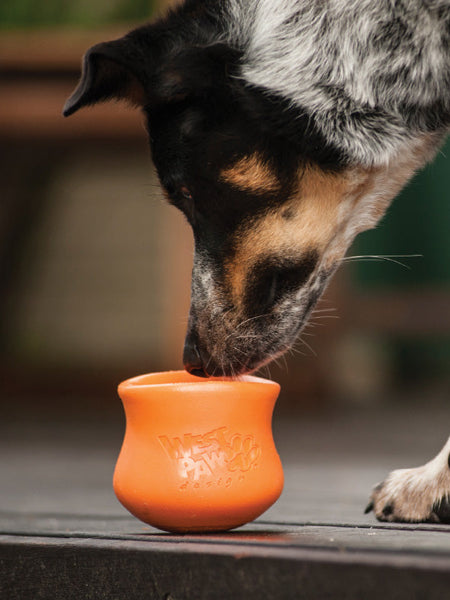       west-paw-Toppl-jouet-a-garnir-fourrer-ecologique-naturel-pour-chien-orange