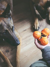       west-paw-Tux-jouet-a-garnir-fourrer-ecologique-naturel-pour-chien-orange