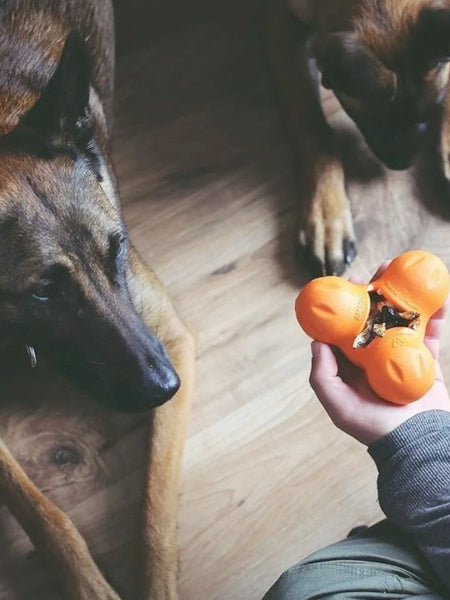       west-paw-Tux-jouet-a-garnir-fourrer-ecologique-naturel-pour-chien-orange