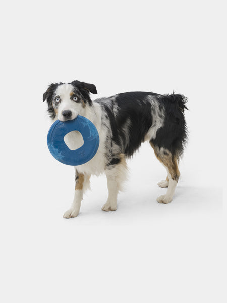 Frisbee Eco Friendly pour chien - Sailz - West Paw - Bleu – inooko